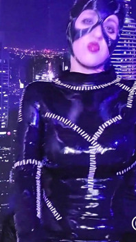 Catwoman Snatches a Robin Full Movie
