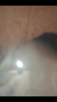 749771317682647040.mp4