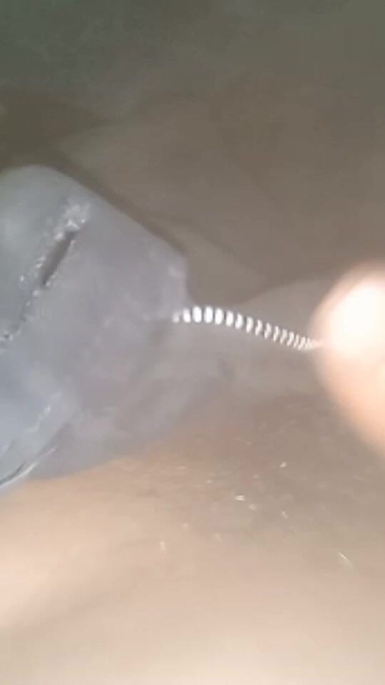 PARAMANANDA: Nacht ich und ehefrau