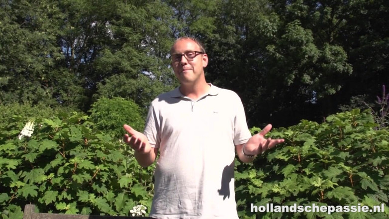 Hollandsche Passie: Esmee在公共场合被干