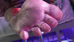 Mistress Legs: 女主调教撸管指挥 - 舔我超级肮脏的脚底