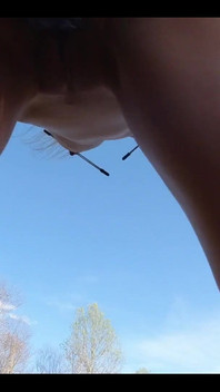 I Got a Request for a Tail Video