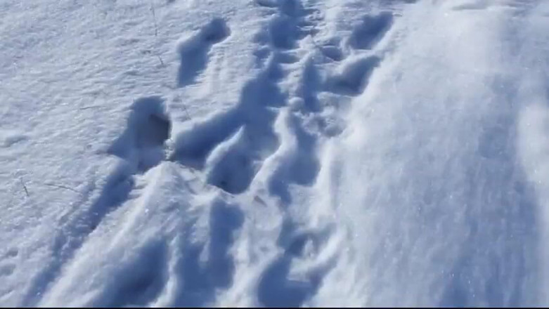 Watch4beauty: Snow Field