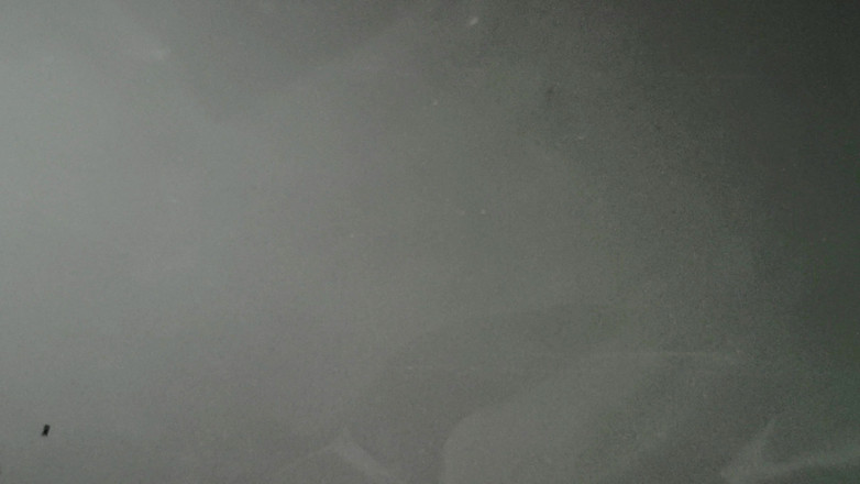 LolaCD: Sc030 - 27h, 2h