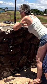 Ho appena incontrato questo visitatore alle Hawaii - e qui siamo, all'aperto, giocando