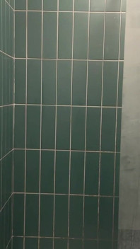 I Give Myself a Good Wank in My Friend's Shower