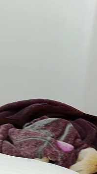 Stygg college flicka försöker sin första trekant18+