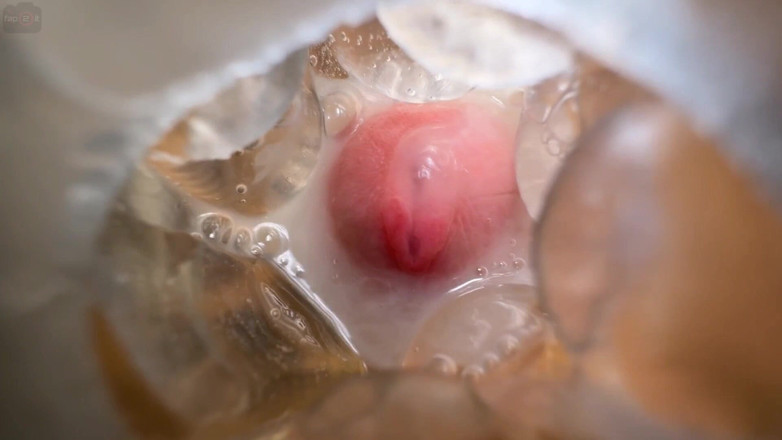 Heat boy: Orgasmo in punta di mattinata parolacce
