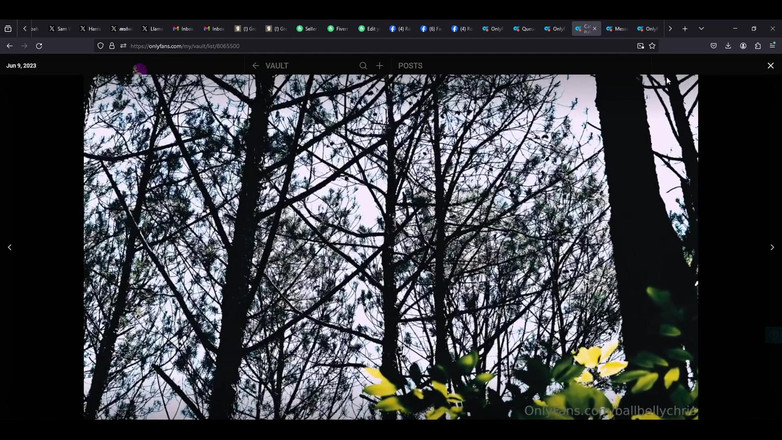 ElementX1018: Потік Vod 3/28/24
