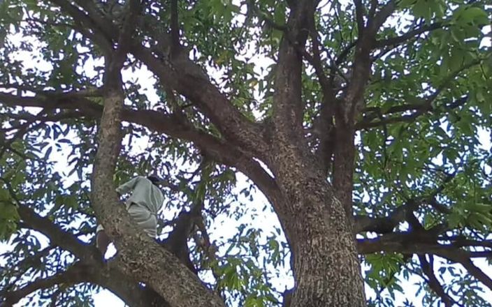 HotboyIndian: Mango Tree and Boy!