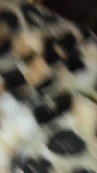 Real First Time Anal Amateur Homemade Arab Couple Fuck My Wife Ass Hard