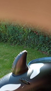 Outdoor with My Dolphin