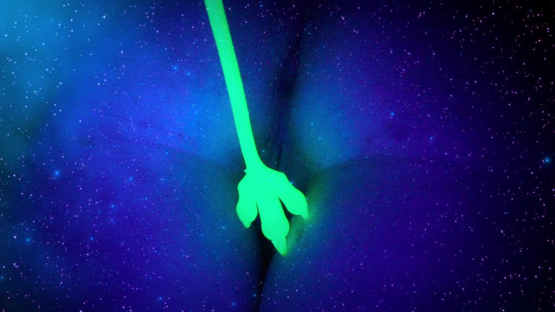 Moony: Joven artista posa desnuda para sus experimentos artísticos eróticos. Ella...