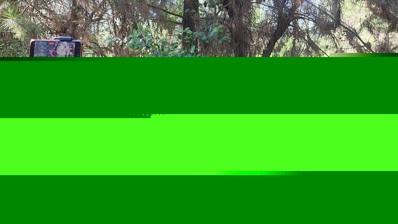 Riderqueen BBW Step Mom Latina Ebony: Riderqueen на відкритому повітрі: відео для шанувальників на відкритому повітрі