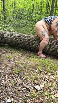 Poesje aangename boom stam spuitend dik hog