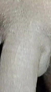 Desi cazzo