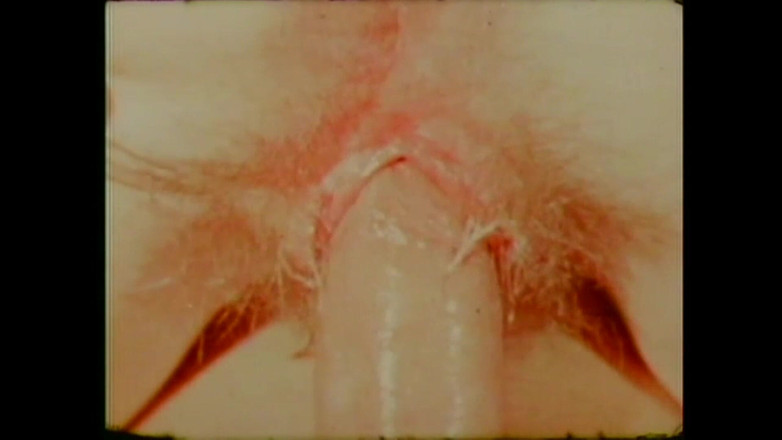 Vintage Usa: Citrusové plody nakupování