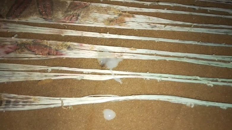 Masturbator emmy: Senza La Tua Ragazza, Puoi Ancora Divertirti: Ecco Come