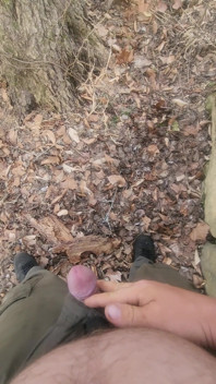 Piss in the Woods