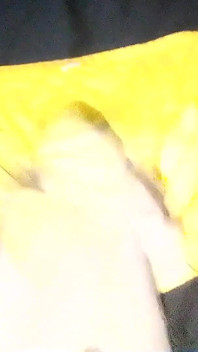 노란색 팬티가 치는 중