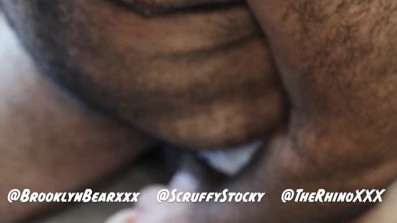 ScruffyStocky: Urso Peludo Domina Trio Selvagem Fodido Dois Porcos Passivos