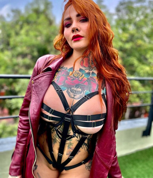 Faphouse