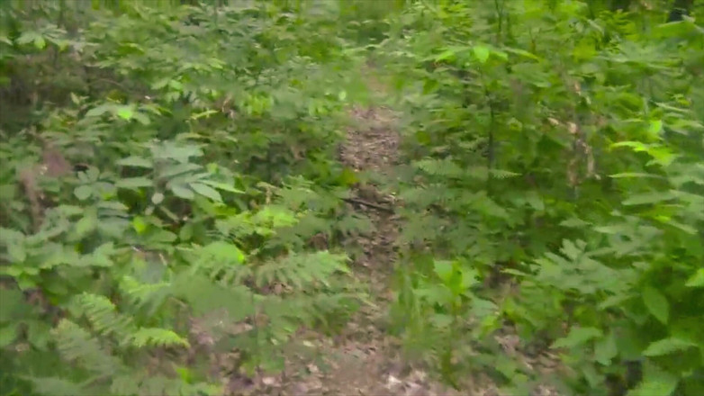 BELLOeBIOTTO: Schöner und langer Cumshot, ohne Hemd, in einem öffentlichen Wald