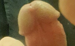 Sụt cu bí mật