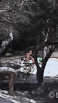 Awek Bermain Di Pantai Di Mallorca
