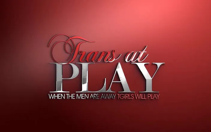 Trans 500: Kelly's Playtime