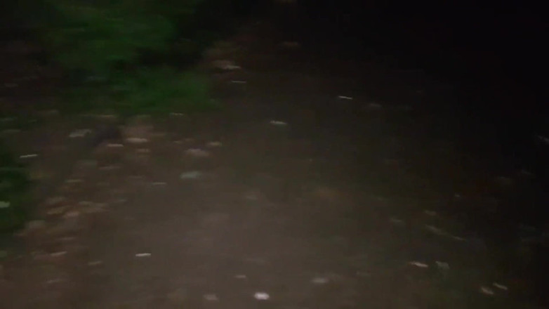 Real homemade BBW BBC porn: YoungEnglishBbw ssanie BBC Nata4sex na zewnątrz