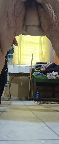 はい、旦那様、トイレの栓を外しますが、この嫌なバカをどう扱うか見ていてください。