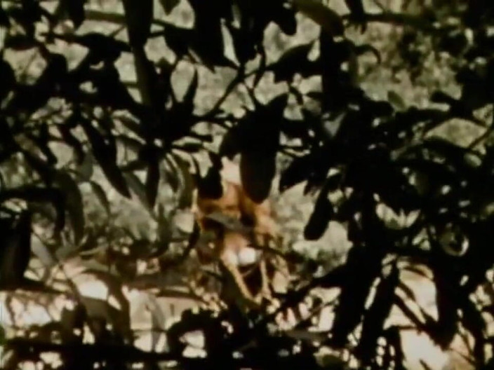 Vintage Usa: Divoký vintage sex se sexy děvkou