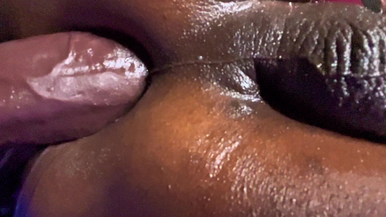 Ms300 Sarazia Exotic: Большой Черный И Сливочный, Часть 1