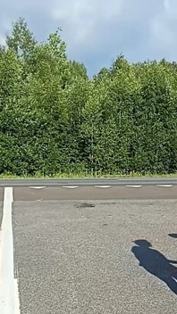 Вони дражнять водіїв на шосе