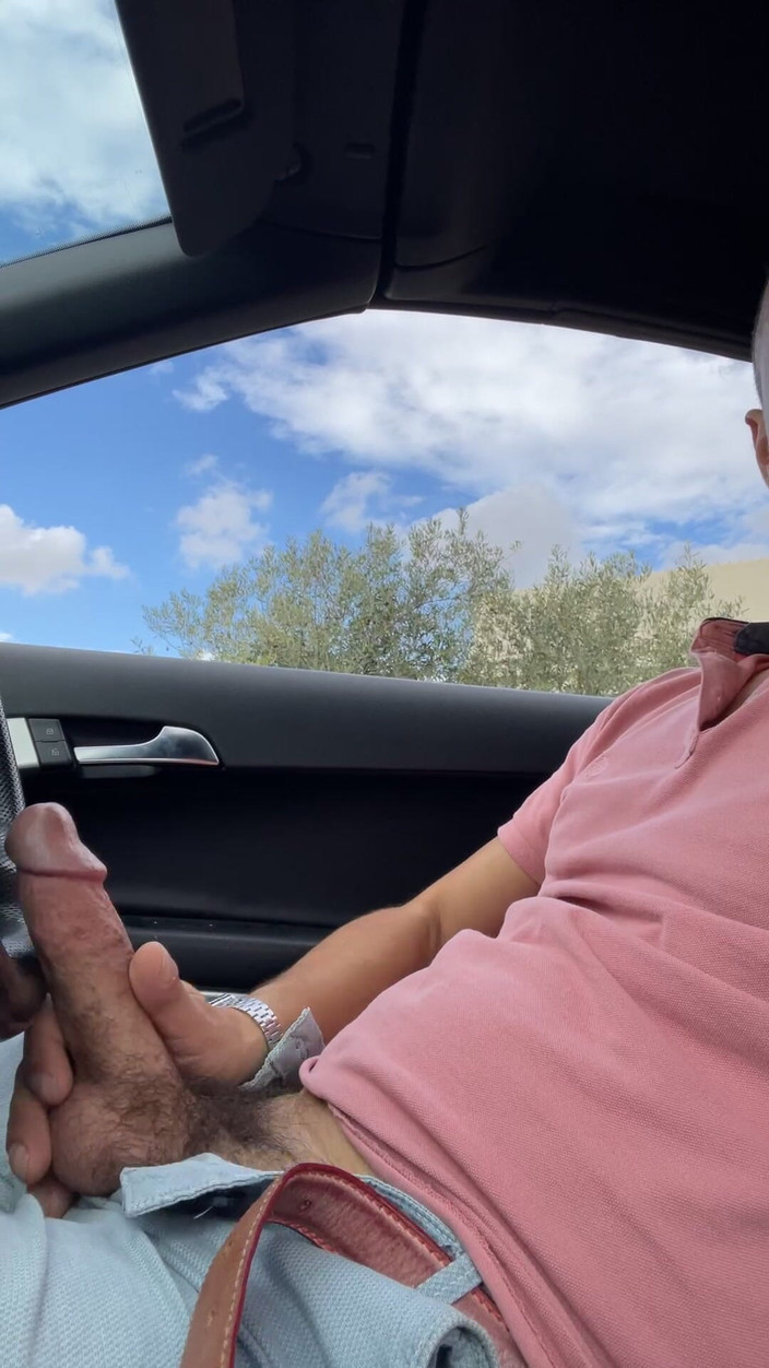 Sapiens Erectus: एक प्रशंसक के लिए