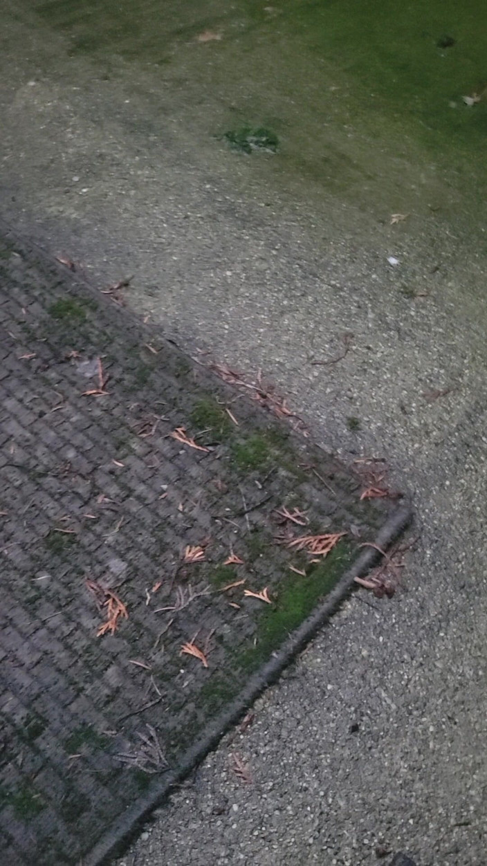 Feet Lover: Cumming on Feet Outside