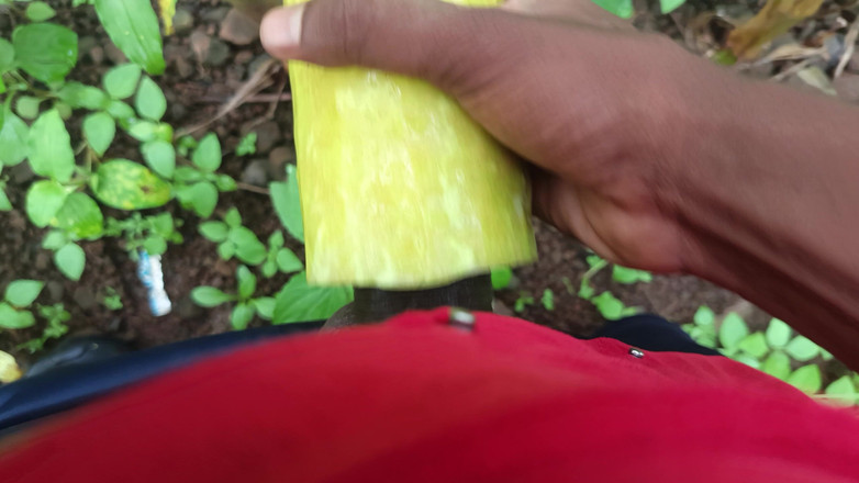 vinnnnni09: Desi Kala Land Chut Ka Bhukha