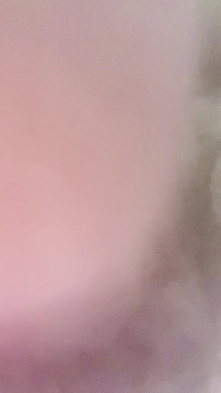 Mart_the_cat: Neighbor's Toy
