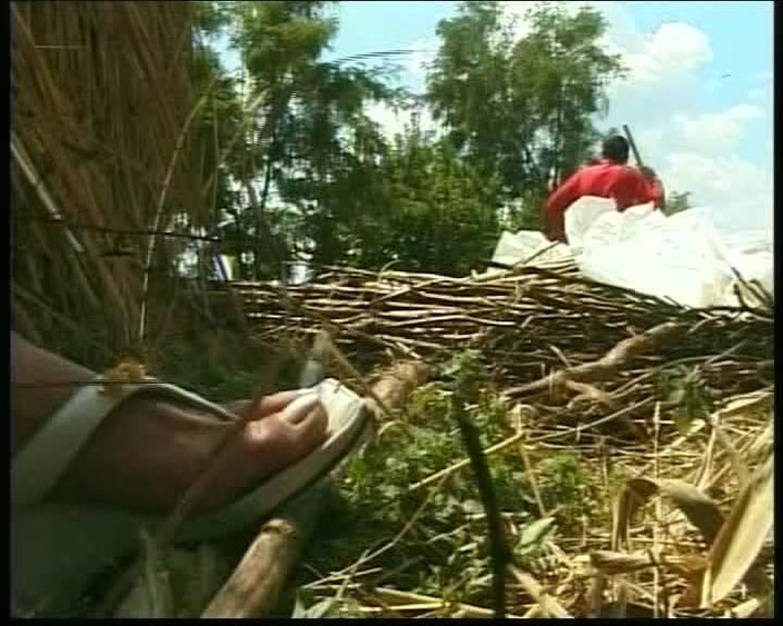 Busty German Sluts: Si matang blondie dari Jerman ini dikongkek di ladang