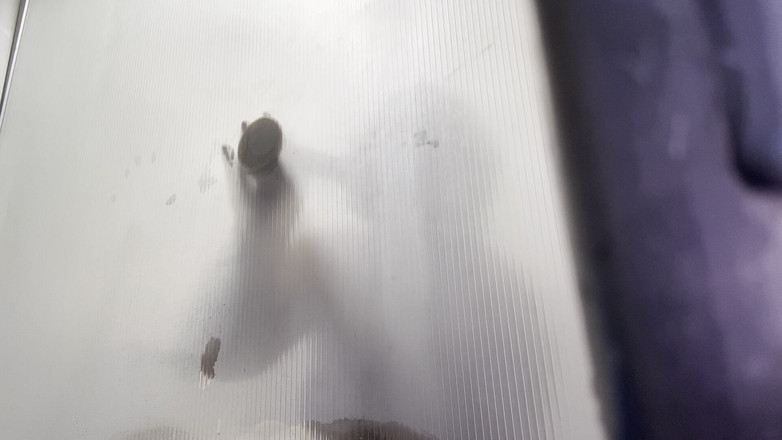 DWHOREKIN: Matte Ta Belle-soeur Sous La Douche