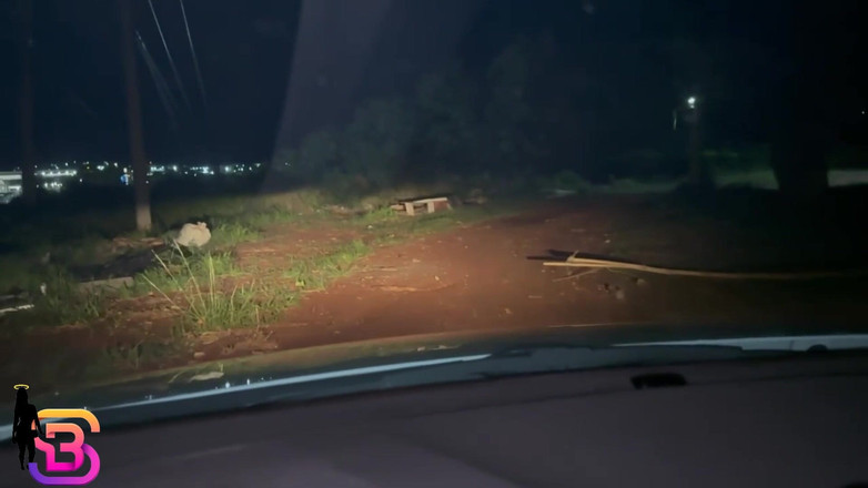 Bruna Santiny Hetero: Я дразнил этого ублюдка, пока он не остановил машину и не трахнул меня очень горячо, кончая мне в маленький рот в конце