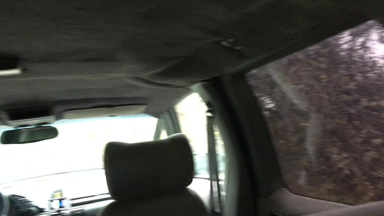 Risky Hairy Couple: Freches paar im bus gefickt