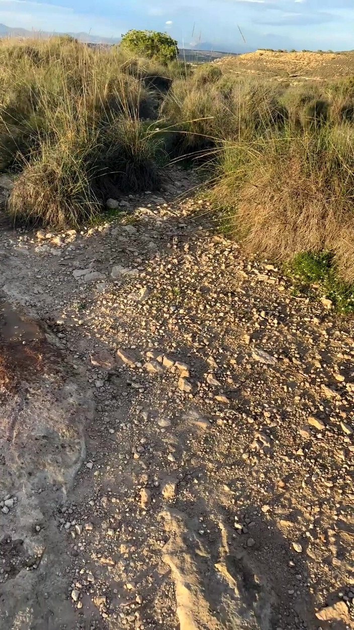 Sheryl X Sinclair: 2025年の最も充実した屋外小便コンピレーション!