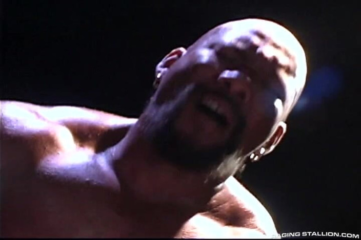 Raging Stallion: 나이트 애프터 나이트