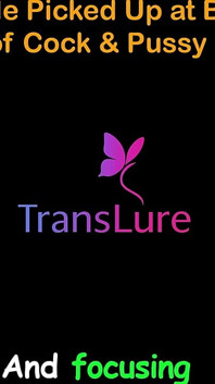 เรื่องเย็ดเสียงภาษาอังกฤษ - สาวสองขี้อายตัวสูงโดนรับตัวมาที่บาร์ - คืนที่เร่าร้อนของควยและหี - ตอน 2