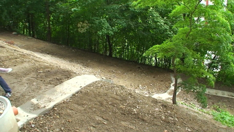 X DVD Collectors Club: Madura morena follada duro en bosque y coche