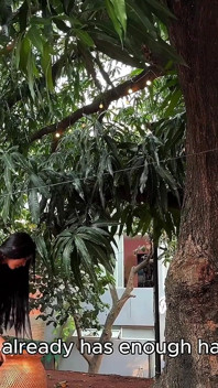Saya Memergoki Tetangga Kolombia Saya Mencuri Mangga Dari Pohon Saya Dan Kami Berakhir Bercinta Di Halaman! - Produksi Luar Angkasa