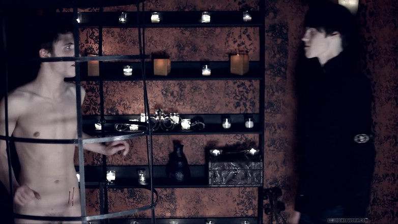 Twinklight: Vampiros contemplan la vida eterna