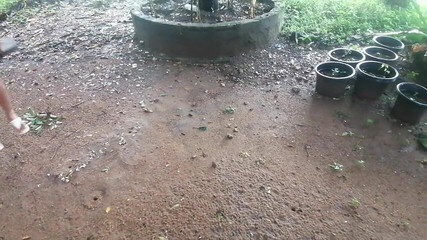 Tina Baby: Putri tiriku sebelum digoda